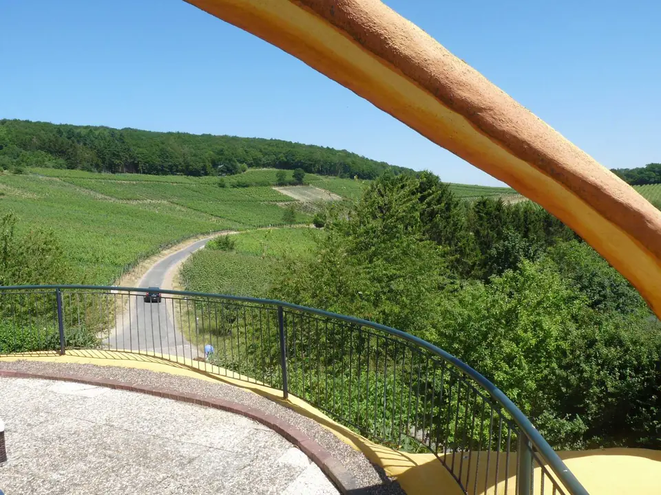 Weinbergblick von der Terrasse einer Ferienwohnung